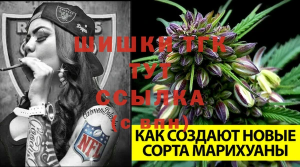 дмт Алексеевка
