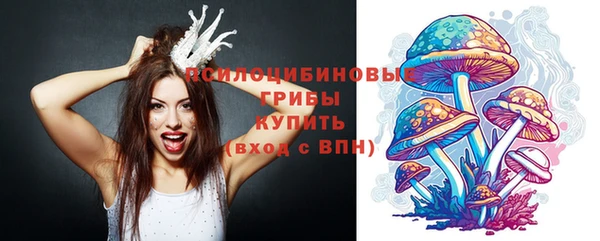 дмт Алексеевка