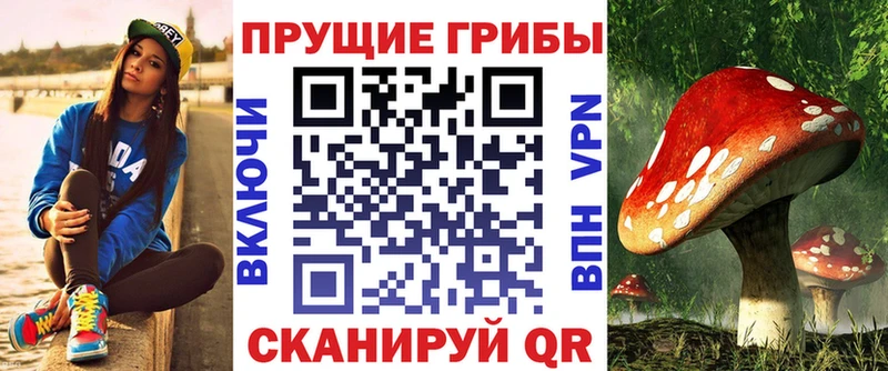 дарнет шоп  Черноголовка  Галлюциногенные грибы ЛСД 
